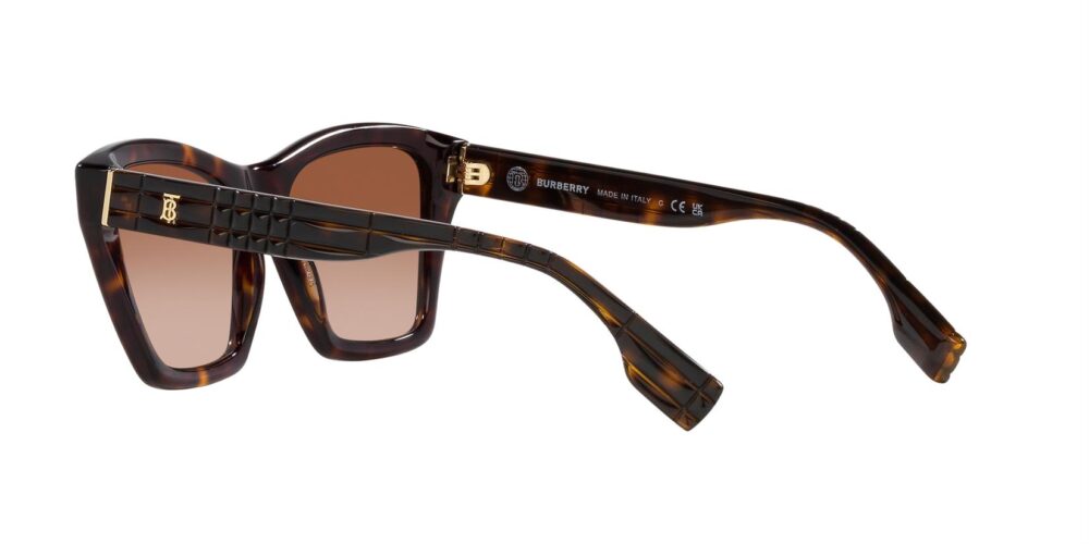 Burberry BE4391 • BE-4391-300213 • 0BE4391 300213 120A • EyeWearThese.com
