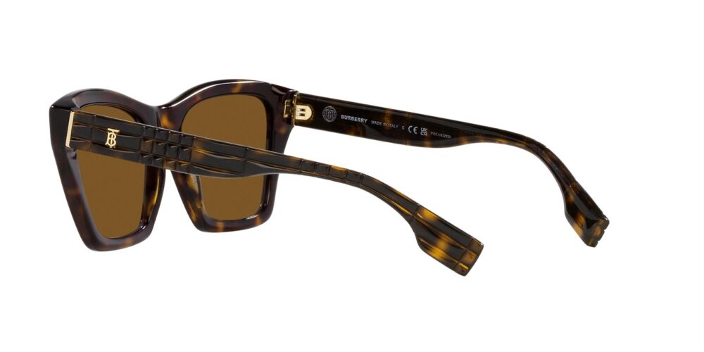 Burberry BE4391 Polarised • BE-4391-300283 • 0BE4391 300283 120A • EyeWearThese.com