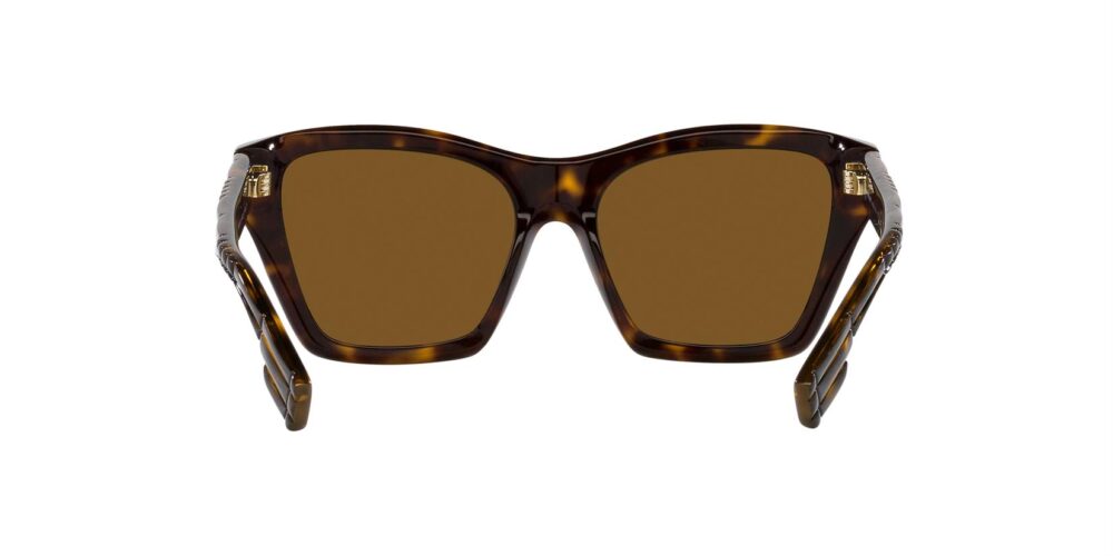 Burberry BE4391 Polarised • BE-4391-300283 • 0BE4391 300283 180A • EyeWearThese.com