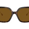 Swarovski SK6011 Havana / Polar Brown