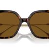 Swarovski SK6011 Havana / Polar Brown