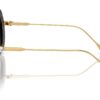 Swarovski SK6011 Havana / Polar Brown