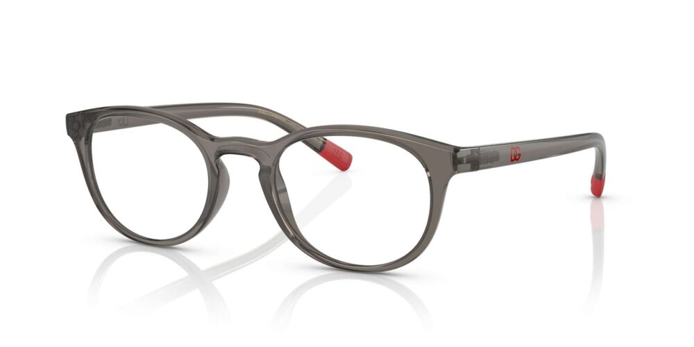 Dolce & Gabbana • DG-5090-3160 • 0DG5090 3160 P21 shad qt