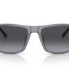 Emporio Armani EA4171U Shiny Trasparent Grey / Gradient Grey
