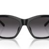 Emporio Armani EA4203U Shiny Black / Gradient Smoke