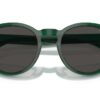 Polo Ralph Lauren PH4192 Shiny Transp. Green / Dark Grey