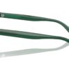 Polo Ralph Lauren PH4192 Shiny Transp. Green / Dark Grey