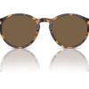 Polo Ralph Lauren PH4193 Shiny Prickig Havanna / Mörkbrun