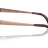 Ray-Ban RB0707SM Transparent Brown / Brown Vintage
