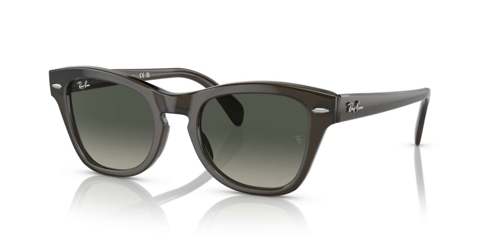 Ray-Ban • RB-0707S-664271 • 0RB0707S 664271 P21 shad qt