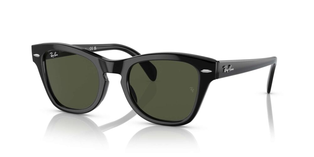 Ray-Ban • RB-0707S-901/31 • 0RB0707S 901 31 P21 shad qt