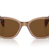 Ray-Ban RB0880S Transparent Brown / Brown Polar