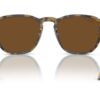 Ray-Ban RB2203 Havana On Trasparent / Polar Brown