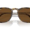 Ray-Ban RB2203 Havana On Trasparent / Polar Brown