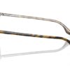 Ray-Ban RB2203 Havana On Trasparent / Polar Brown
