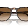 Ray-Ban RB2203 Havana / Clear Gradient Brown