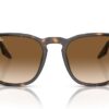 Ray-Ban RB2203 Havana / Clear Gradient Brown
