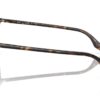 Ray-Ban RB2203 Havana / Clear Gradient Brown