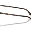 Ray-Ban RB2204 Havana / Transitions 8 Green