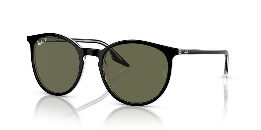 Ray-Ban • RB-2204-919/58 • 0RB2204 919 58 P21 shad qt