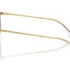 Ray-Ban RB4171 Transparent Light Brown / Gradient Brown