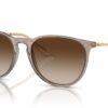 Ray-Ban RB4171 Transparent Light Brown / Gradient Brown