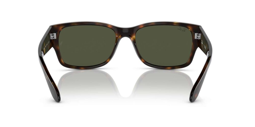 Ray-Ban • RB-4388-710/31 • 0RB4388 710 31 P21 shad bk