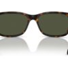Ray-Ban RB4388 Havana / Green