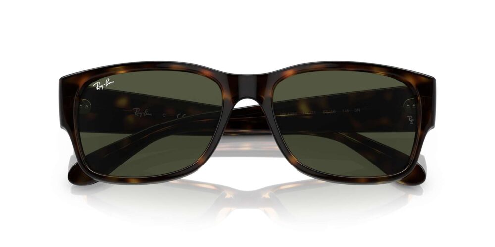 Ray-Ban • RB-4388-710/31 • 0RB4388 710 31 P21 shad cfr