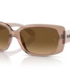 Ray-Ban RB4389 Przezroczysty Brązowy / Brązowy Gradient Polar