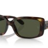Ray-Ban RB4389 Havana / Green