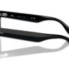 Ray-Ban RB4407 Negro Transparente Negro / Verde Oscuro