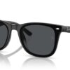 Ray-Ban RB4420 Svart / Mörkgrå