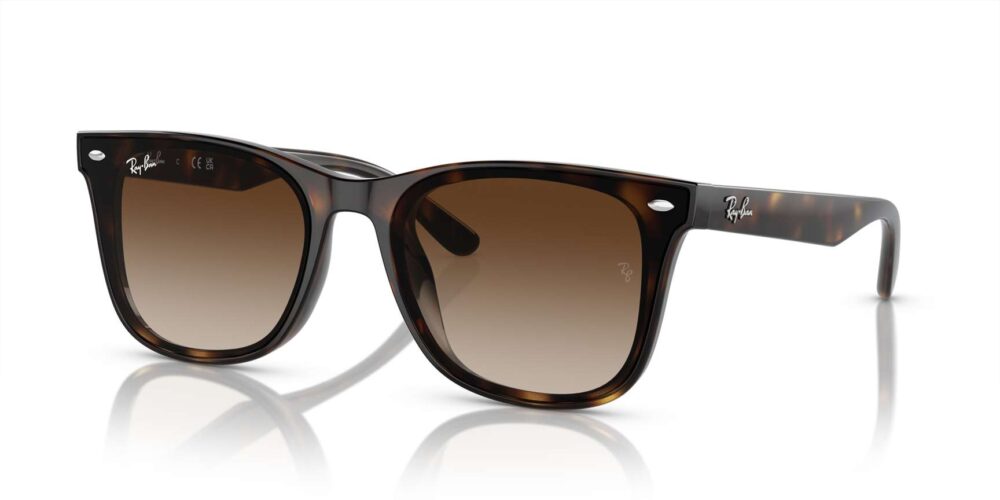 Ray-Ban • RB-4420-710/13 • 0RB4420 710 13 P21 shad qt