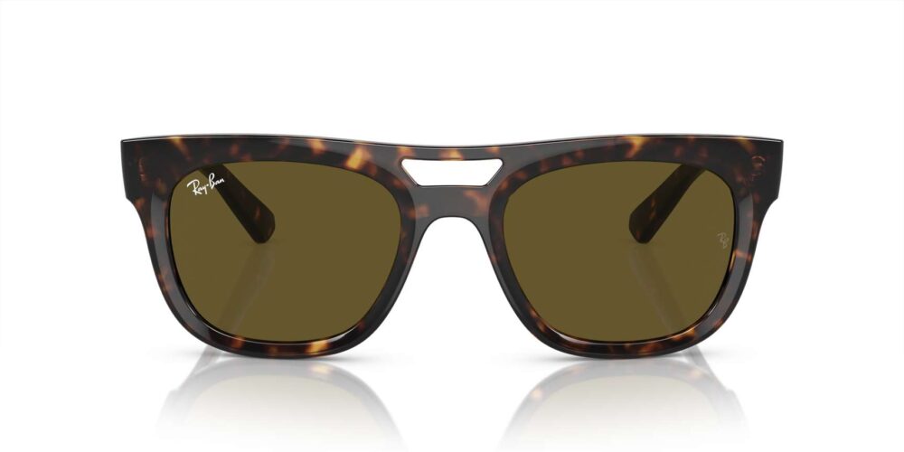 Ray-Ban • RB-4426-135973 • 0RB4426 135973 P21 shad fr