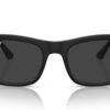 Ray-Ban RB4428 Mattsvart / Polarsvart
