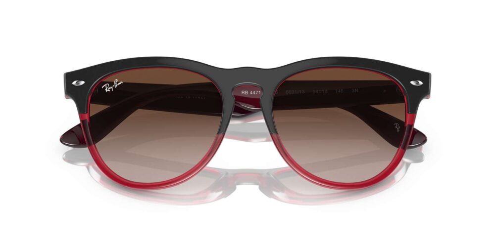 Ray-Ban • RB-4471-663113 • 0RB4471 663113 P21 shad cfr