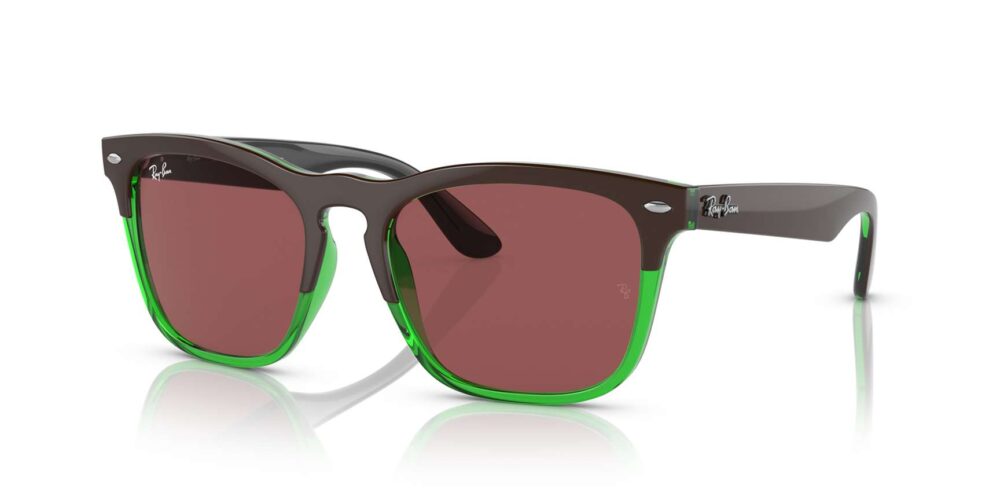 Ray-Ban • RB-4487-663469 • 0RB4487 663469 P21 shad qt