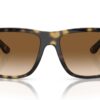 Ray-Ban RB4547 Havana / Klar Gradient Brun