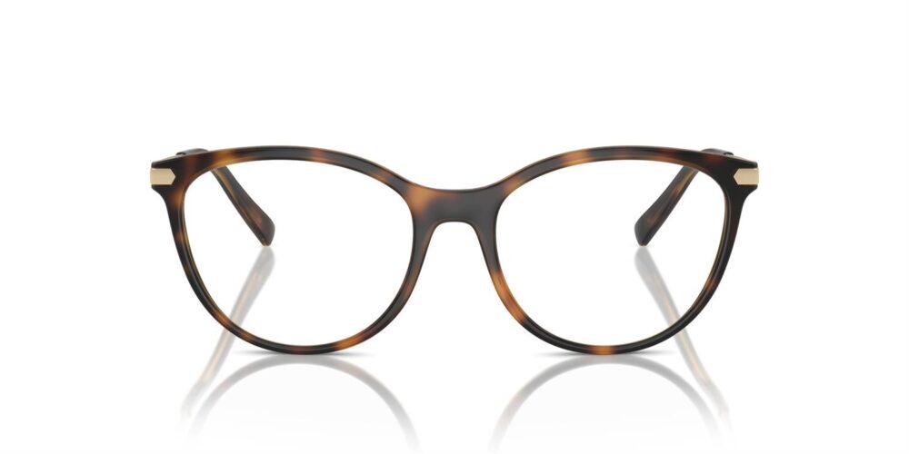 Armani Exchange AX3078 EyeWearThese