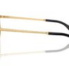 Dolce & Gabbana DG1355