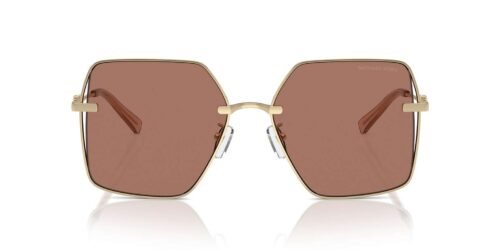 101403 - Shiny Light Gold frame / Light Brown Solid lenses