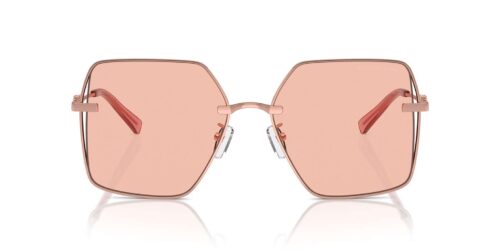 110884 - Shiny Rose Gold frame / Rose Solid lenses