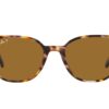 Ray-Ban Elliot RB2197 Brown Polar