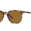 Ray-Ban Elliot RB2197 Brown Polar
