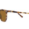 Ray-Ban Elliot RB2197 Brown Polar