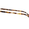 Ray-Ban Elliot RB2197 Brown Polar