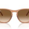 Ray-Ban RB2210 transparente y marrón