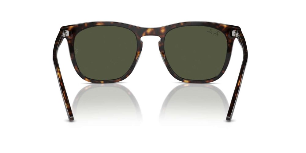 Ray-Ban • RB-2210-902-31 • 0RB2210 902 31 P21 shad bk