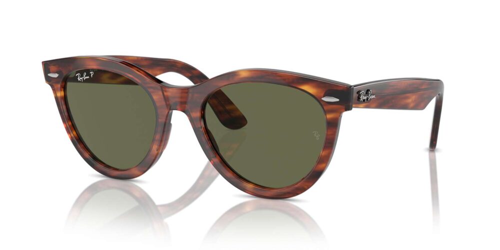 Ray-Ban • RB-2241-954-58 • 0RB2241 954 58 P21 shad qt